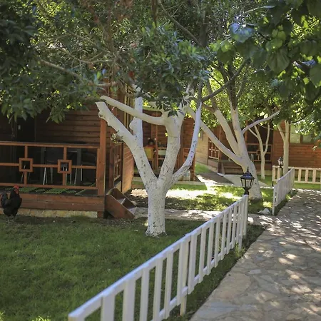 Camping Mustafa Nacakci Çıralı