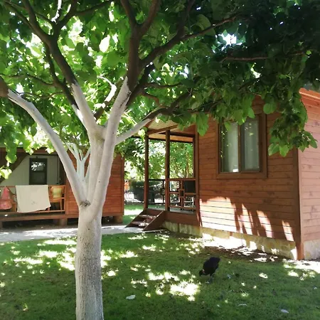 Camping Mustafa Nacakci Landhuis Çıralı